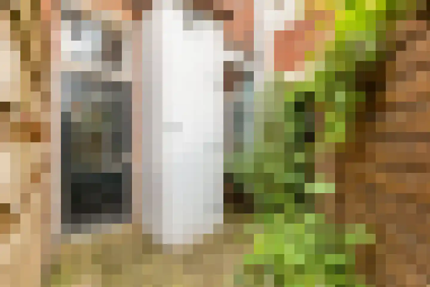 Van Sijsenstraat 4 Groningen thumbnail 29