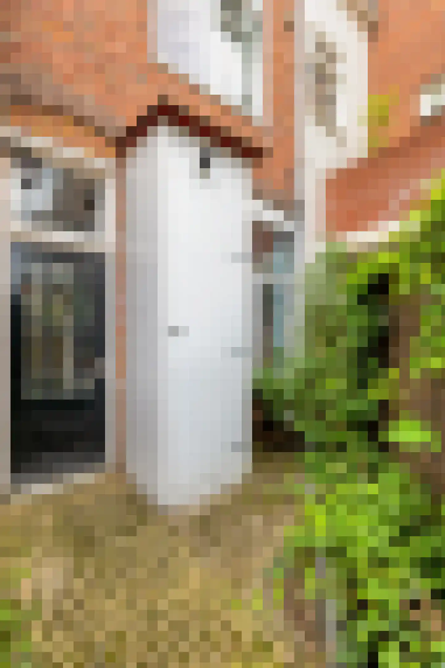 Van Sijsenstraat 4 Groningen thumbnail 30