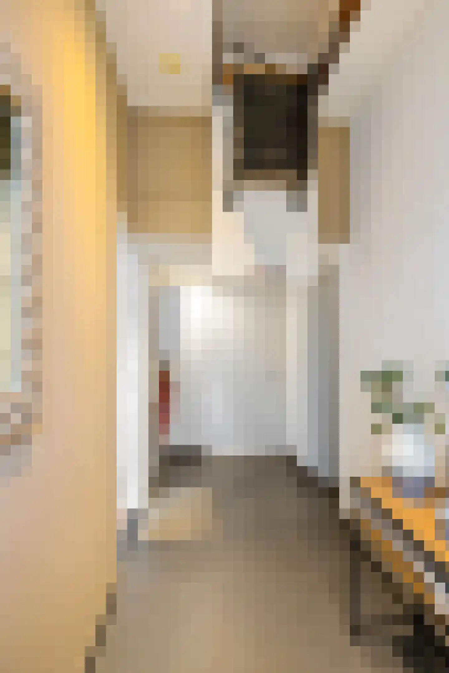 Van Sijsenstraat 49 Groningen thumbnail 21