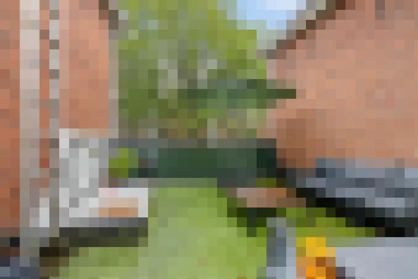 Van Sijsenstraat 49 Groningen thumbnail 23