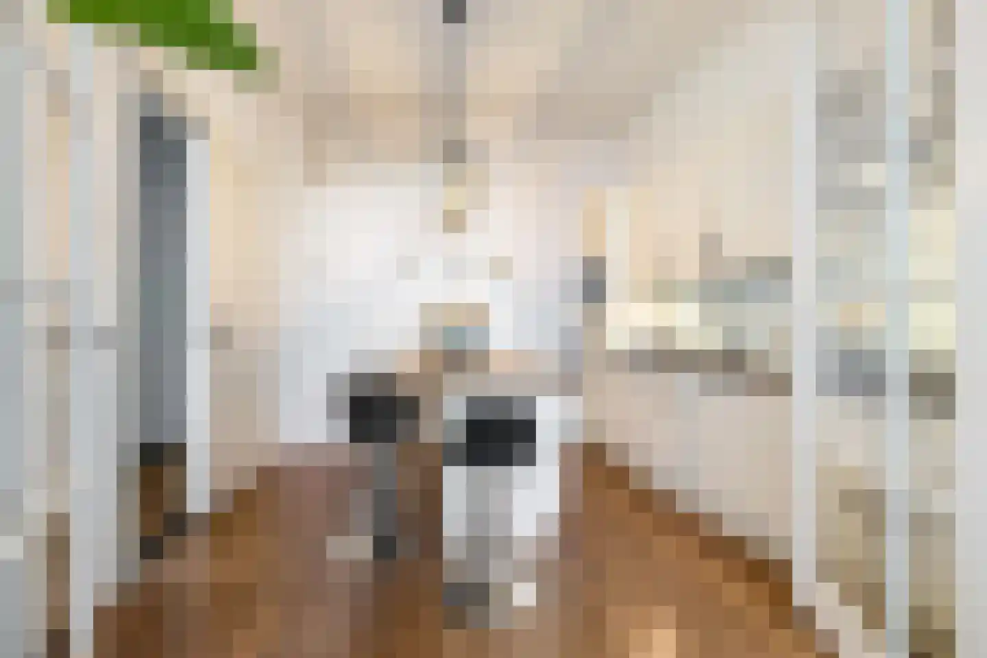 Van Sijsenstraat 49 Groningen thumbnail 5