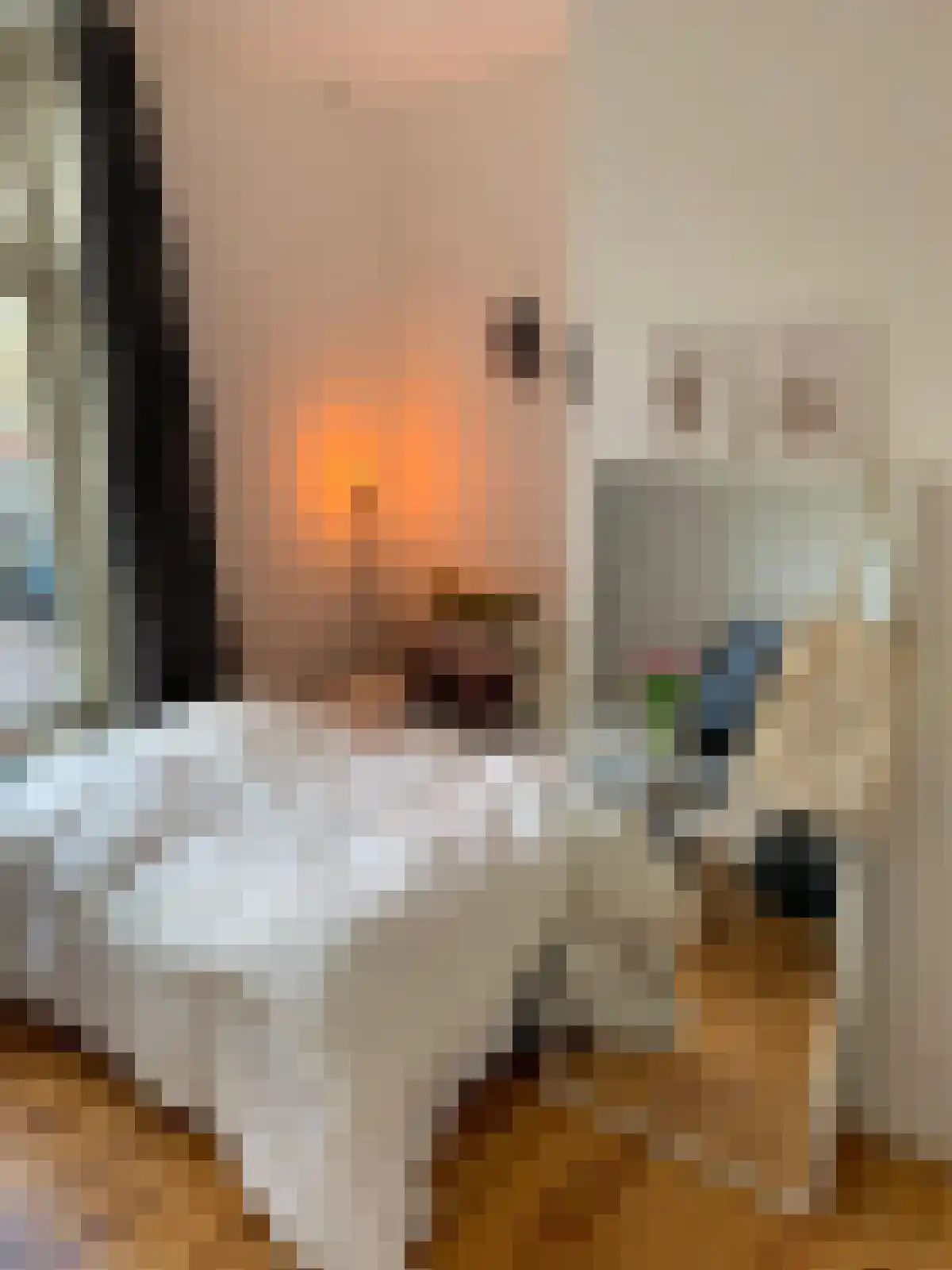 Van Sijsenstraat 7 Groningen thumbnail 6