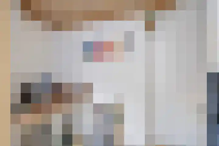 Van Sijsenstraat 8 Groningen thumbnail 15