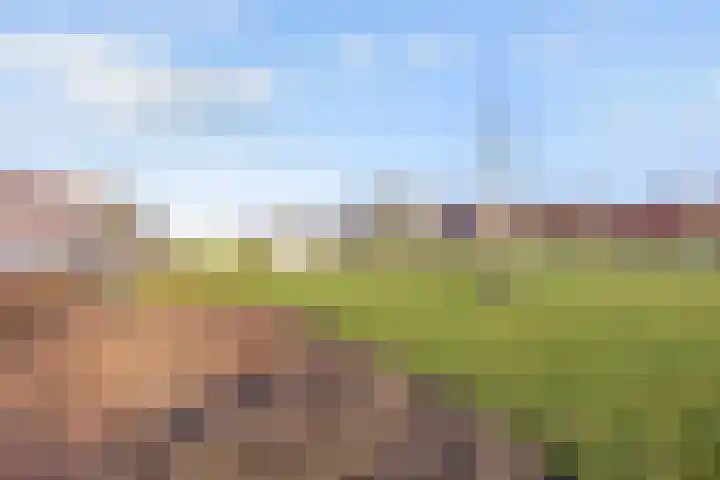Van Sijsenstraat 8 Groningen thumbnail 8