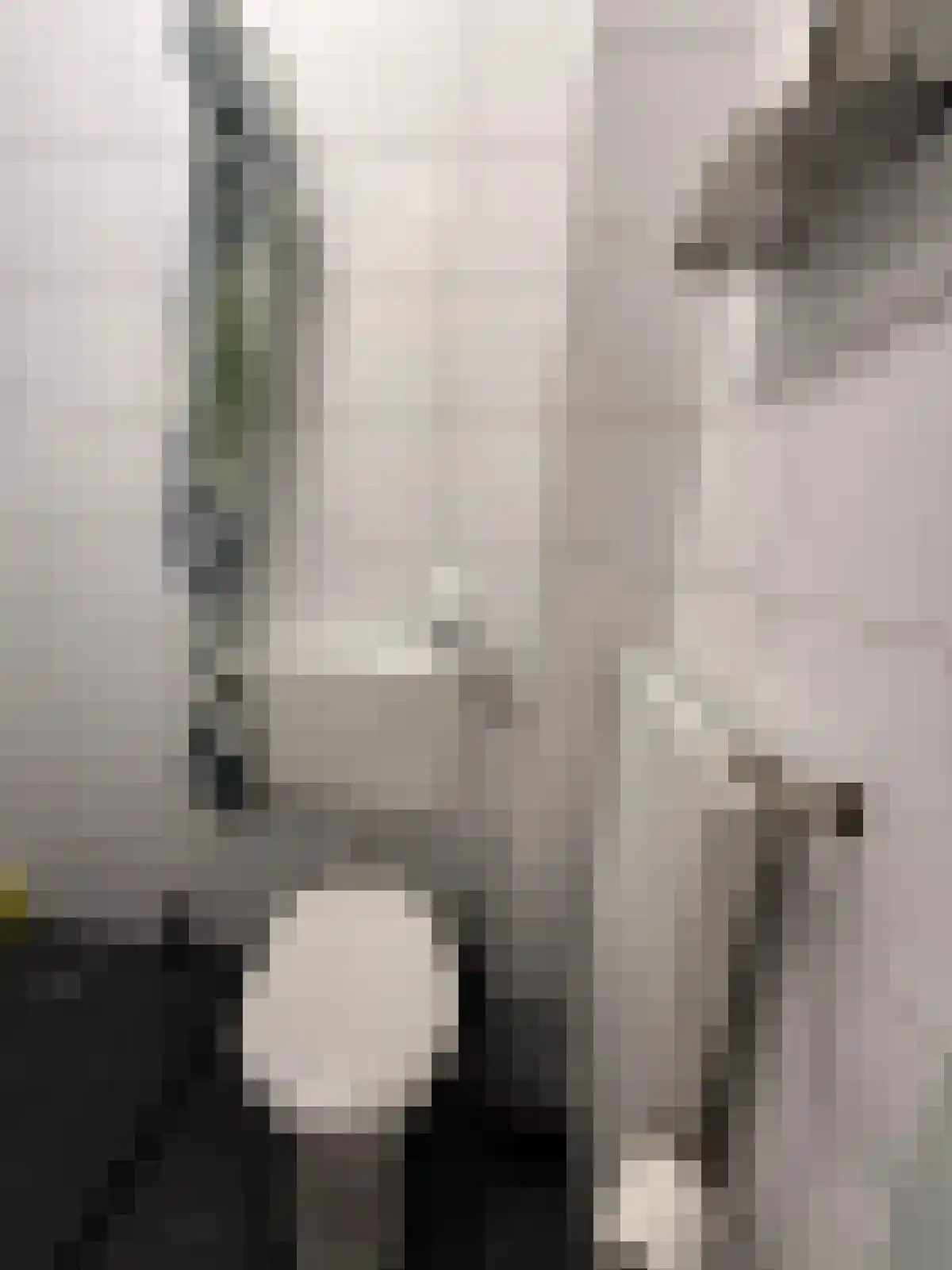Van Sijsenstraat Groningen thumbnail 5