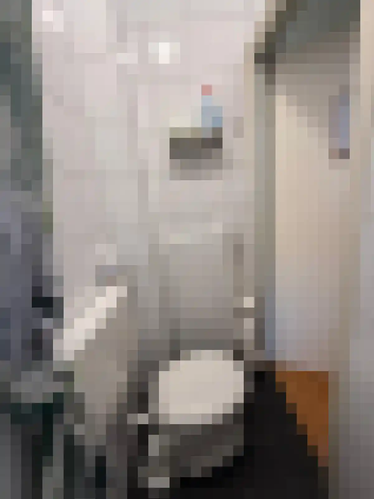 Van Sijsenstraat Groningen thumbnail 5