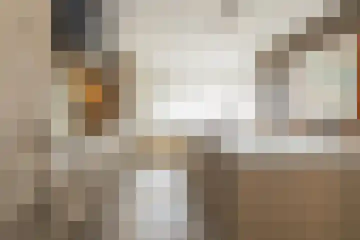 van Sillevoldtlaan 6 Oegstgeest thumbnail 10