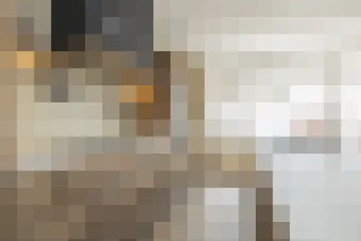 van Sillevoldtlaan 6 Oegstgeest thumbnail 11