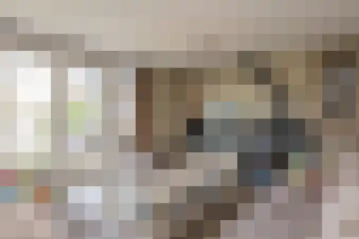 van Sillevoldtlaan 6 Oegstgeest thumbnail 18