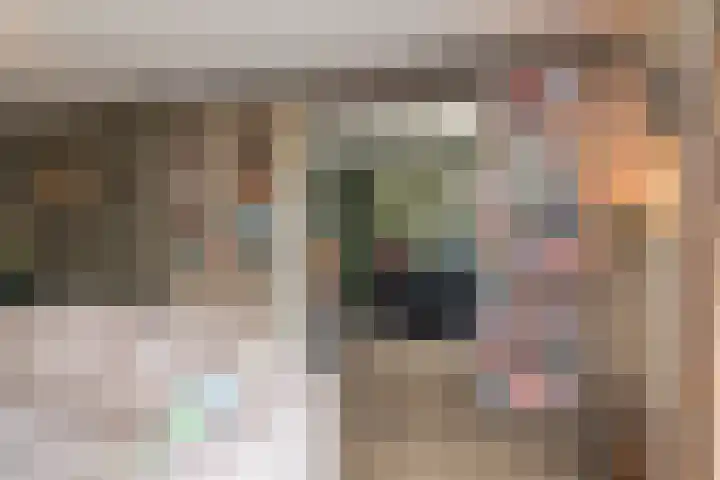 van Sillevoldtlaan 6 Oegstgeest thumbnail 21