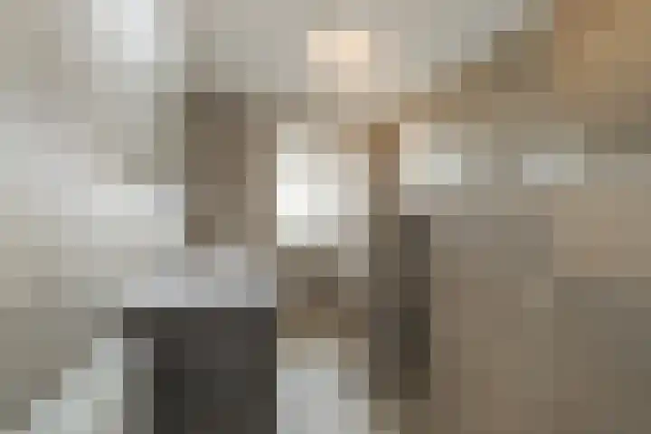van Sillevoldtlaan 6 Oegstgeest thumbnail 38