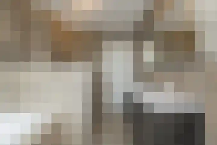 van Sillevoldtlaan 6 Oegstgeest thumbnail 40