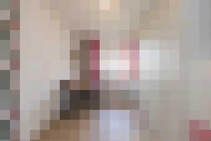 van Sillevoldtlaan 6 Oegstgeest thumbnail 47