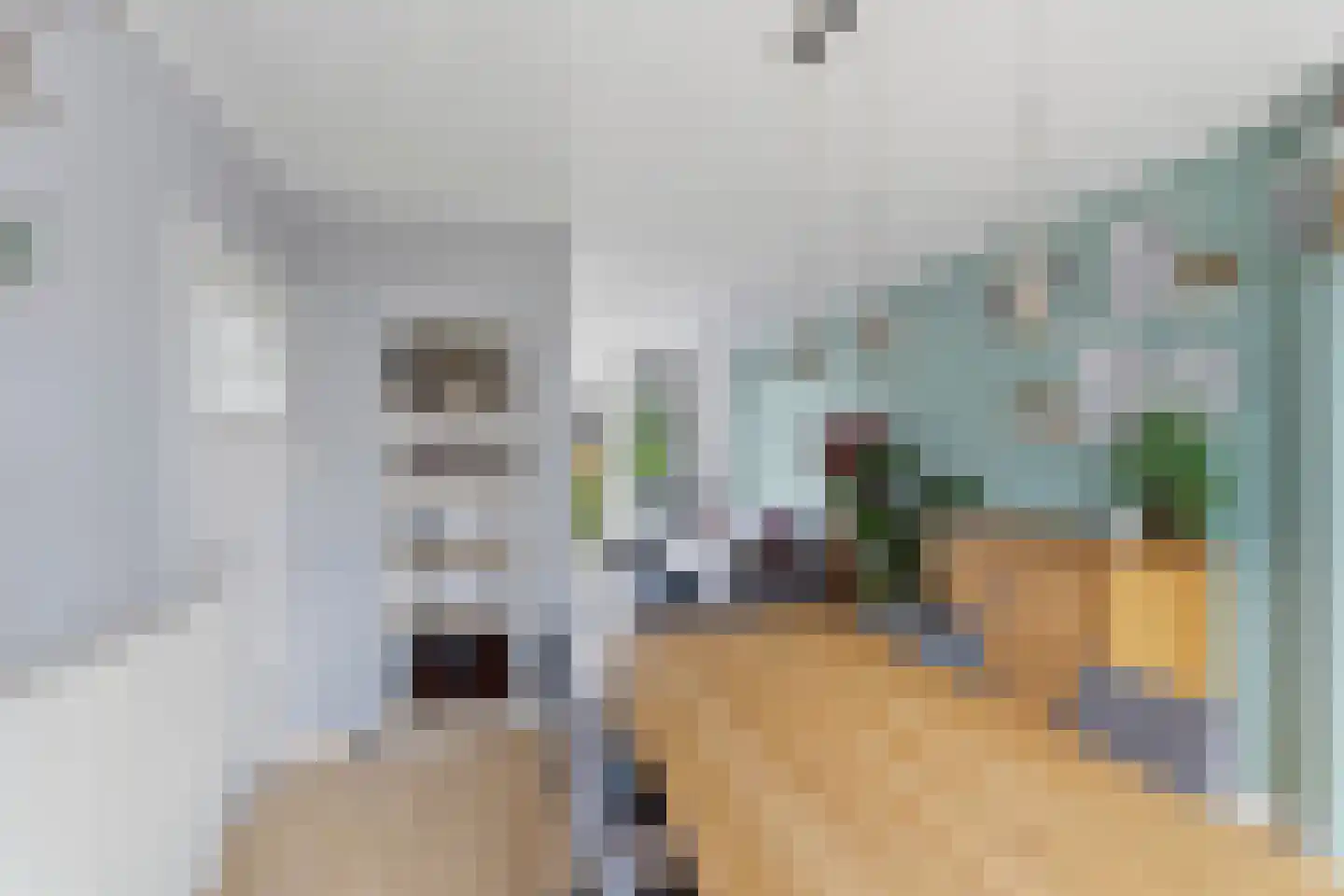 van Slichtenhorststraat 100 Nijmegen thumbnail 12