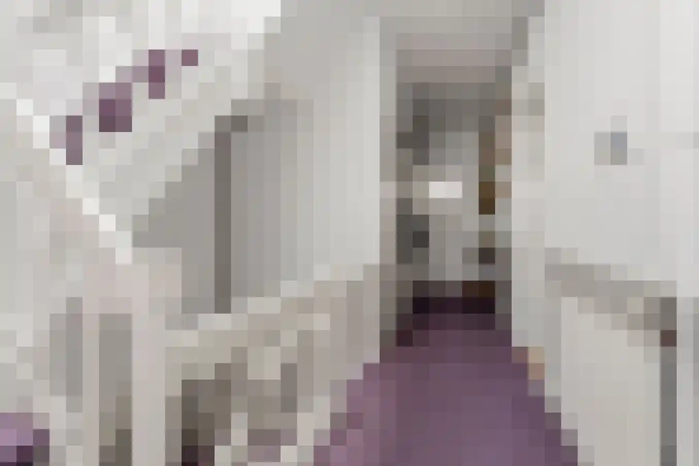 van Slichtenhorststraat 100 Nijmegen thumbnail 37