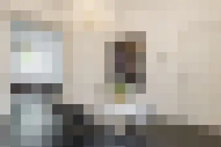 van Slichtenhorststraat 22 Nijmegen thumbnail 13