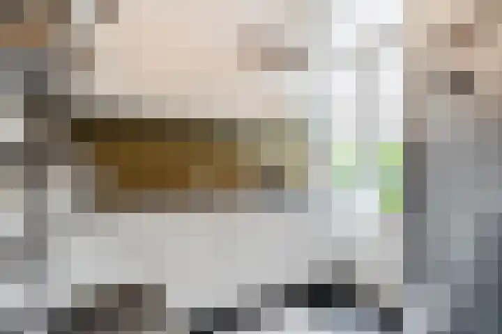 van Slichtenhorststraat 22 Nijmegen thumbnail 18