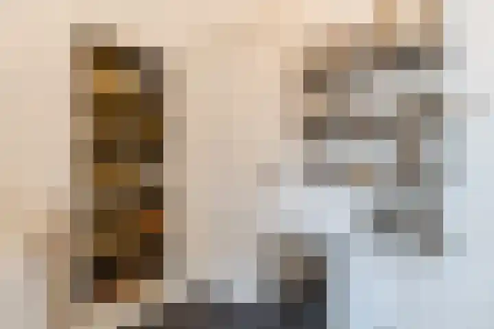 van Slichtenhorststraat 22 Nijmegen thumbnail 19