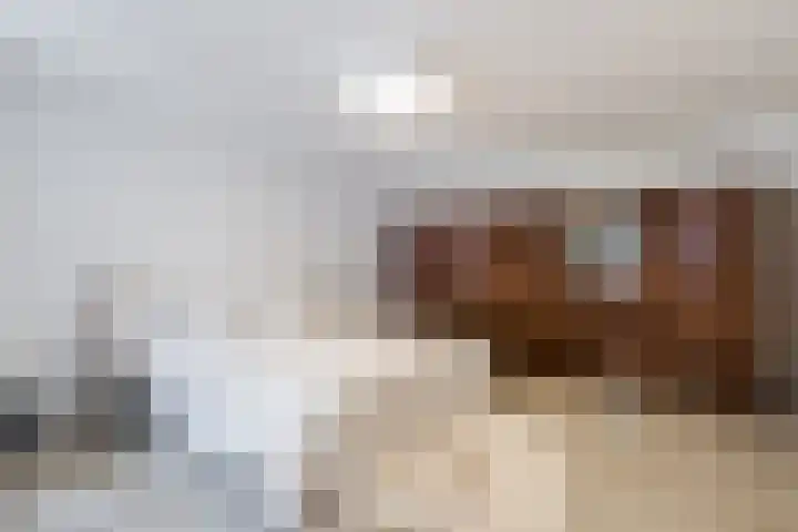 van Slichtenhorststraat 22 Nijmegen thumbnail 36