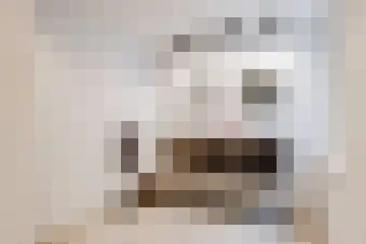 van Slichtenhorststraat 22 Nijmegen thumbnail 37