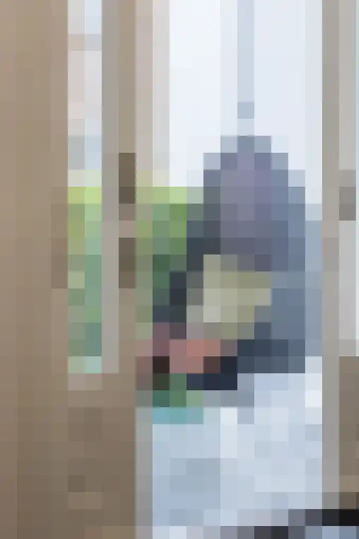 van Slichtenhorststraat 22 Nijmegen thumbnail 52