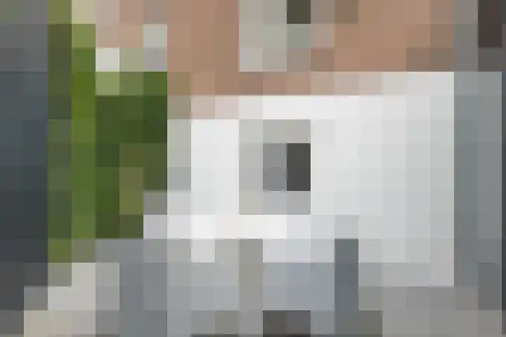 van Slichtenhorststraat 22 Nijmegen thumbnail 58