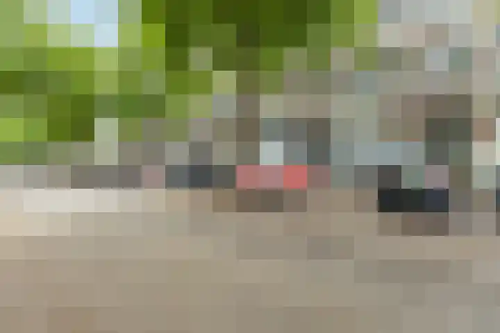 van Slichtenhorststraat 22 Nijmegen thumbnail 59