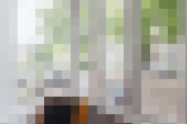 van Slichtenhorststraat 22 Nijmegen thumbnail 9