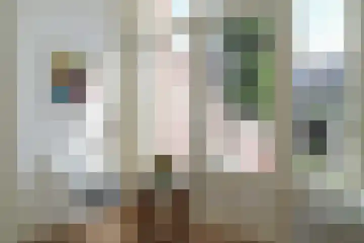 van Slichtenhorststraat 27 Nijmegen thumbnail 11