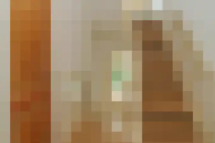 van Slichtenhorststraat 27 Nijmegen thumbnail 17