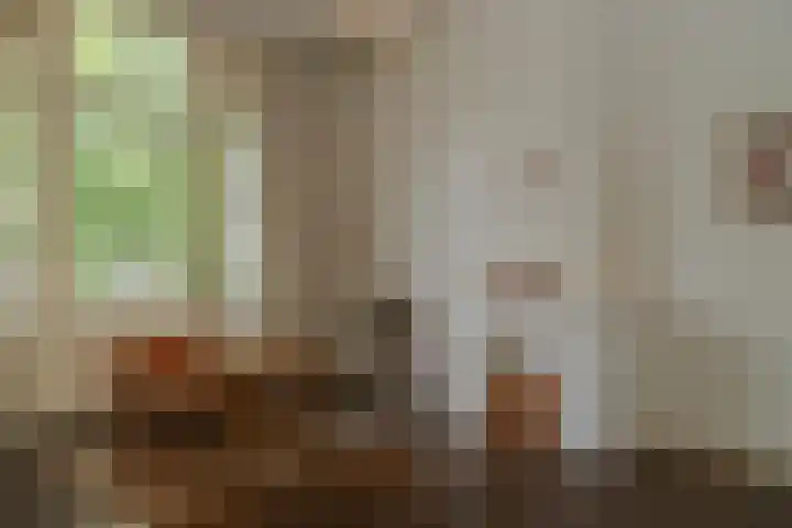 van Slichtenhorststraat 27 Nijmegen thumbnail 18