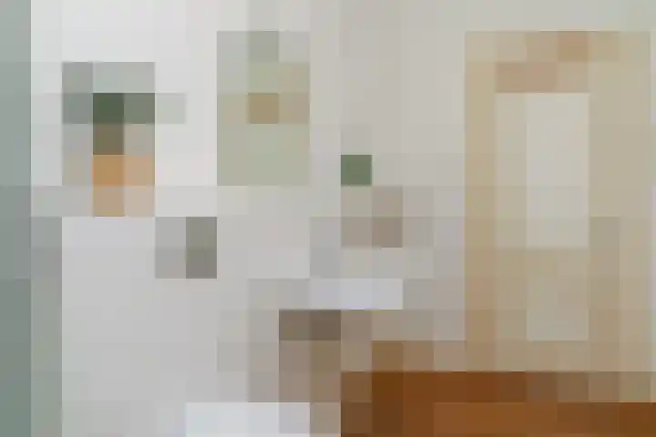van Slichtenhorststraat 27 Nijmegen thumbnail 37