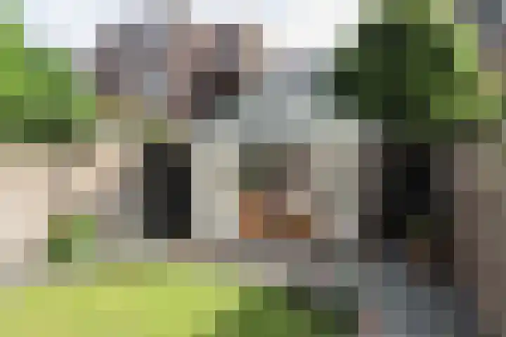 van Slichtenhorststraat 27 Nijmegen thumbnail 48