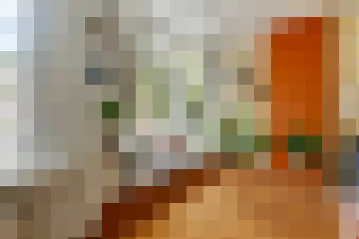 Van Slichtenhorststraat 3 Arnhem thumbnail 11