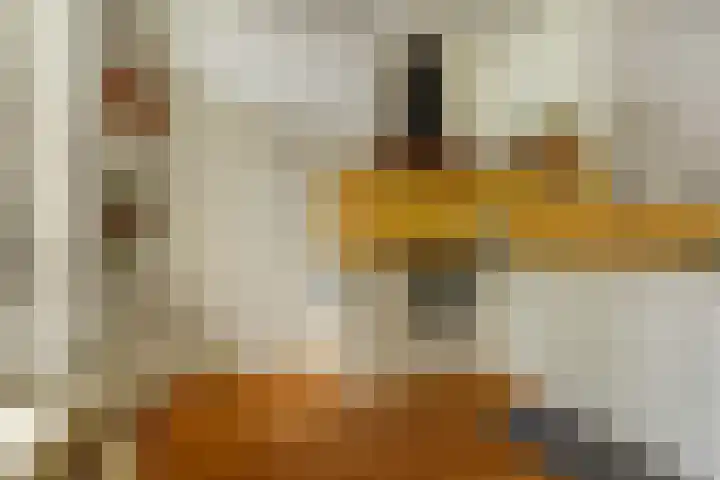 Van Slichtenhorststraat 3 Arnhem thumbnail 16