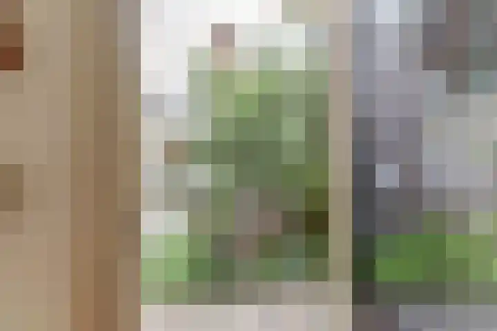 Van Slichtenhorststraat 3 Arnhem thumbnail 20