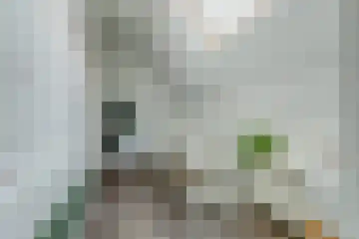 Van Slichtenhorststraat 3 Arnhem thumbnail 23