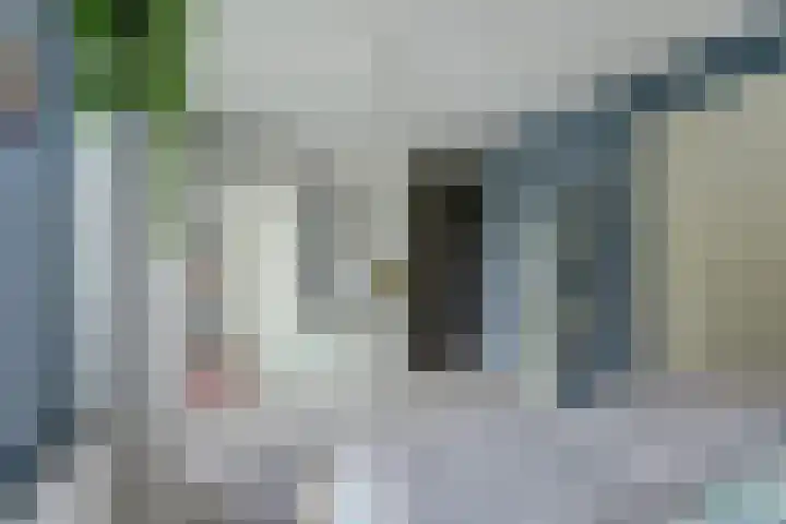 Van Slichtenhorststraat 3 Arnhem thumbnail 27
