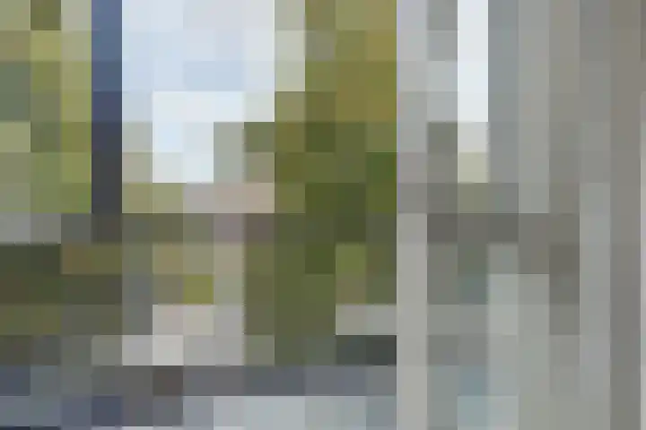 Van Slichtenhorststraat 3 Arnhem thumbnail 38
