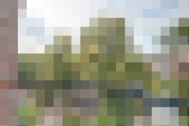 Van Slichtenhorststraat 3 Arnhem thumbnail 39