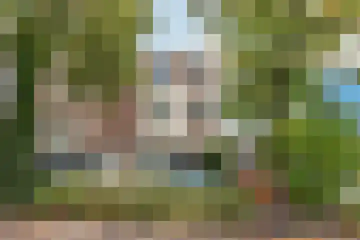 Van Slichtenhorststraat 3 Arnhem thumbnail 4
