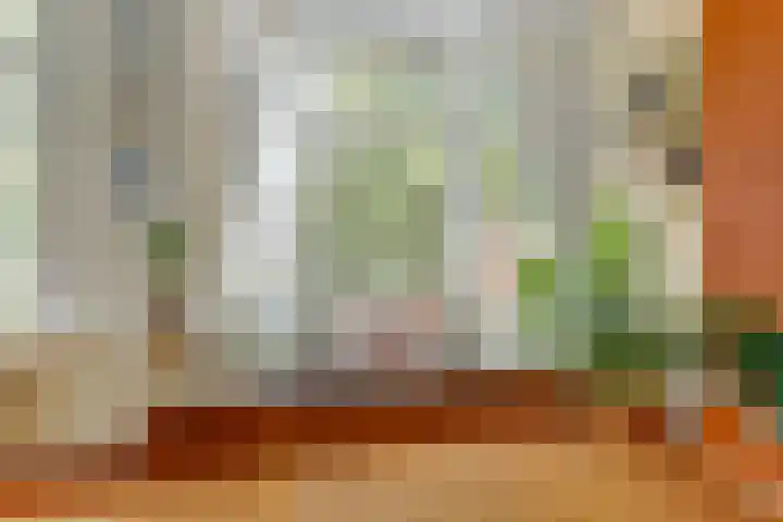 Van Slichtenhorststraat 3 Arnhem thumbnail 9