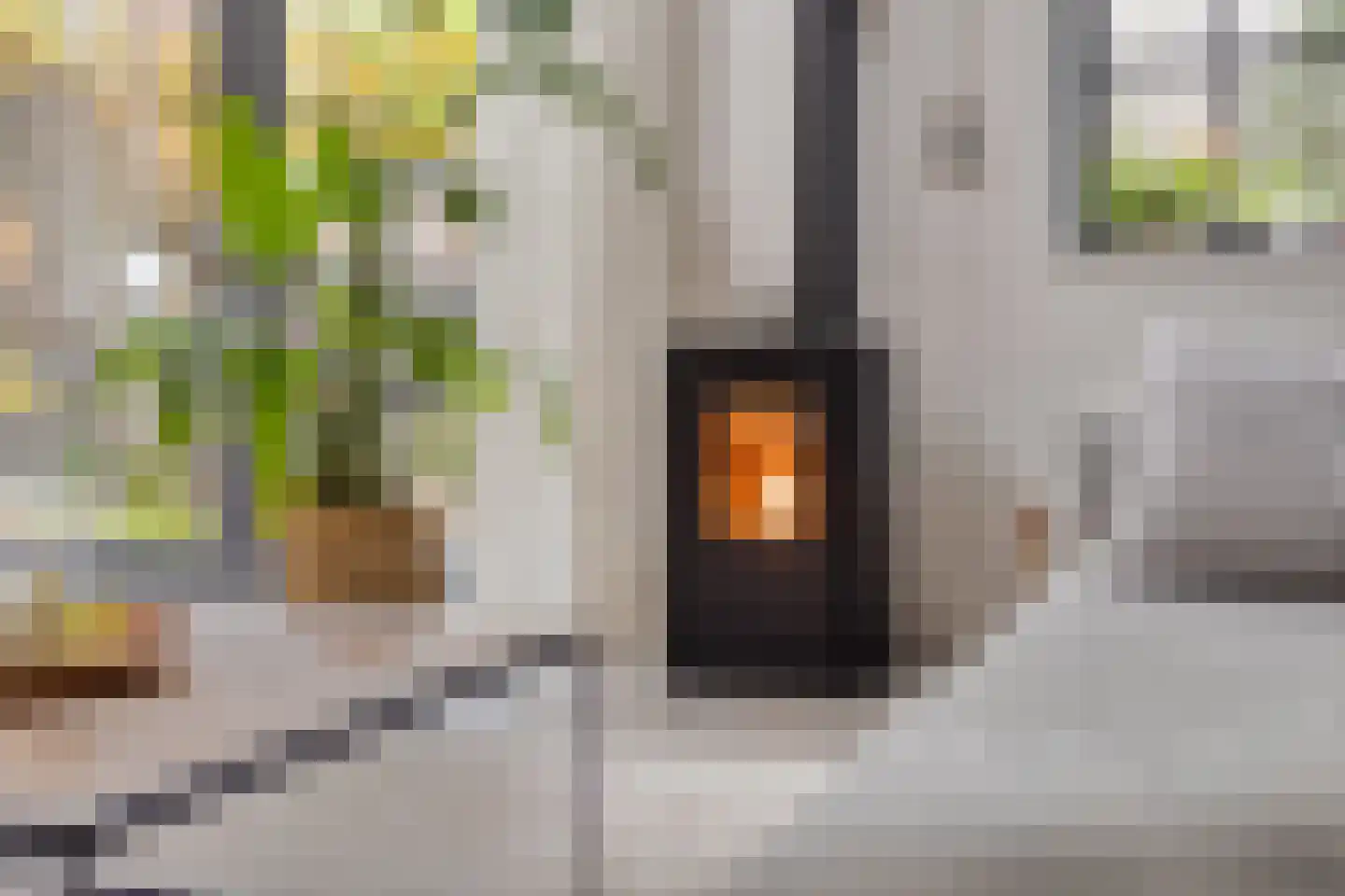 Van Slichtenhorststraat 37 Arnhem thumbnail 18
