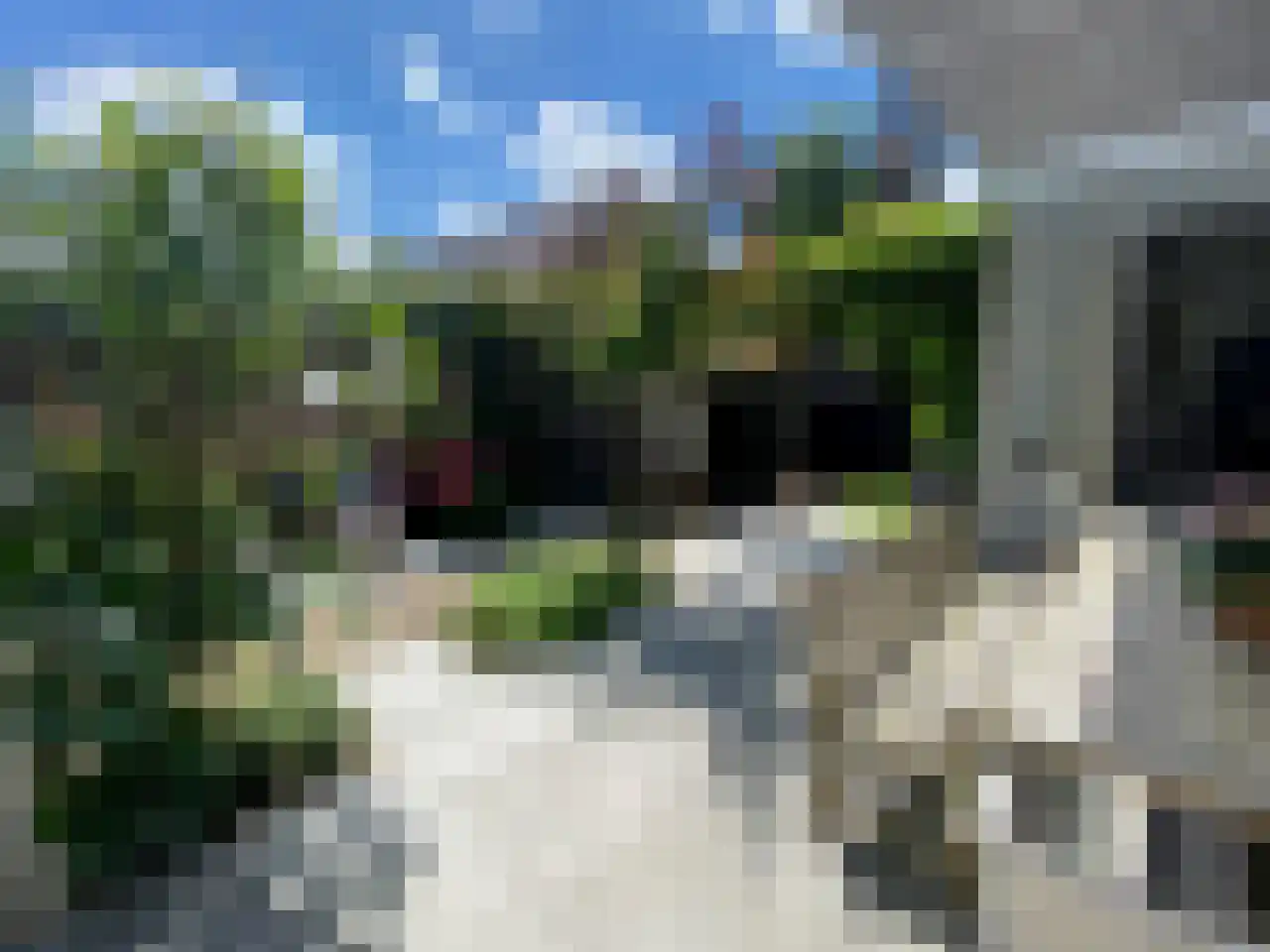 Van Slichtenhorststraat 37 Arnhem thumbnail 63
