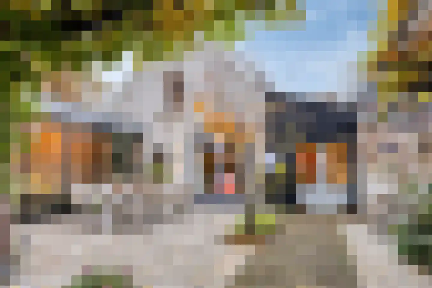 Van Slichtenhorststraat 37 Arnhem thumbnail 65