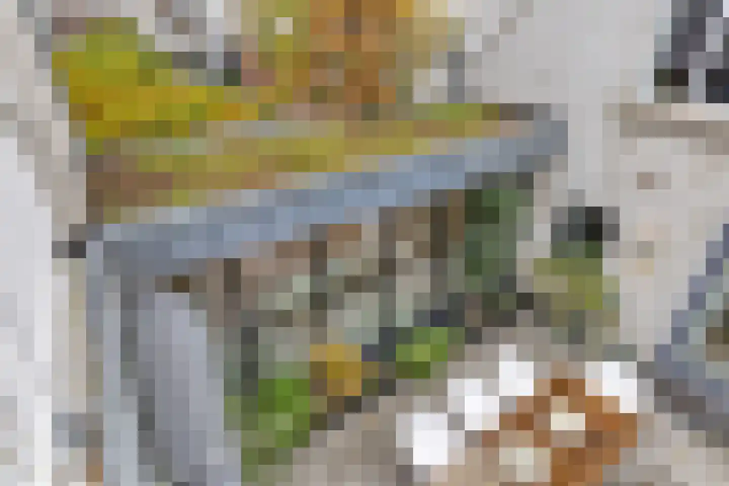 Van Slichtenhorststraat 37 Arnhem thumbnail 66