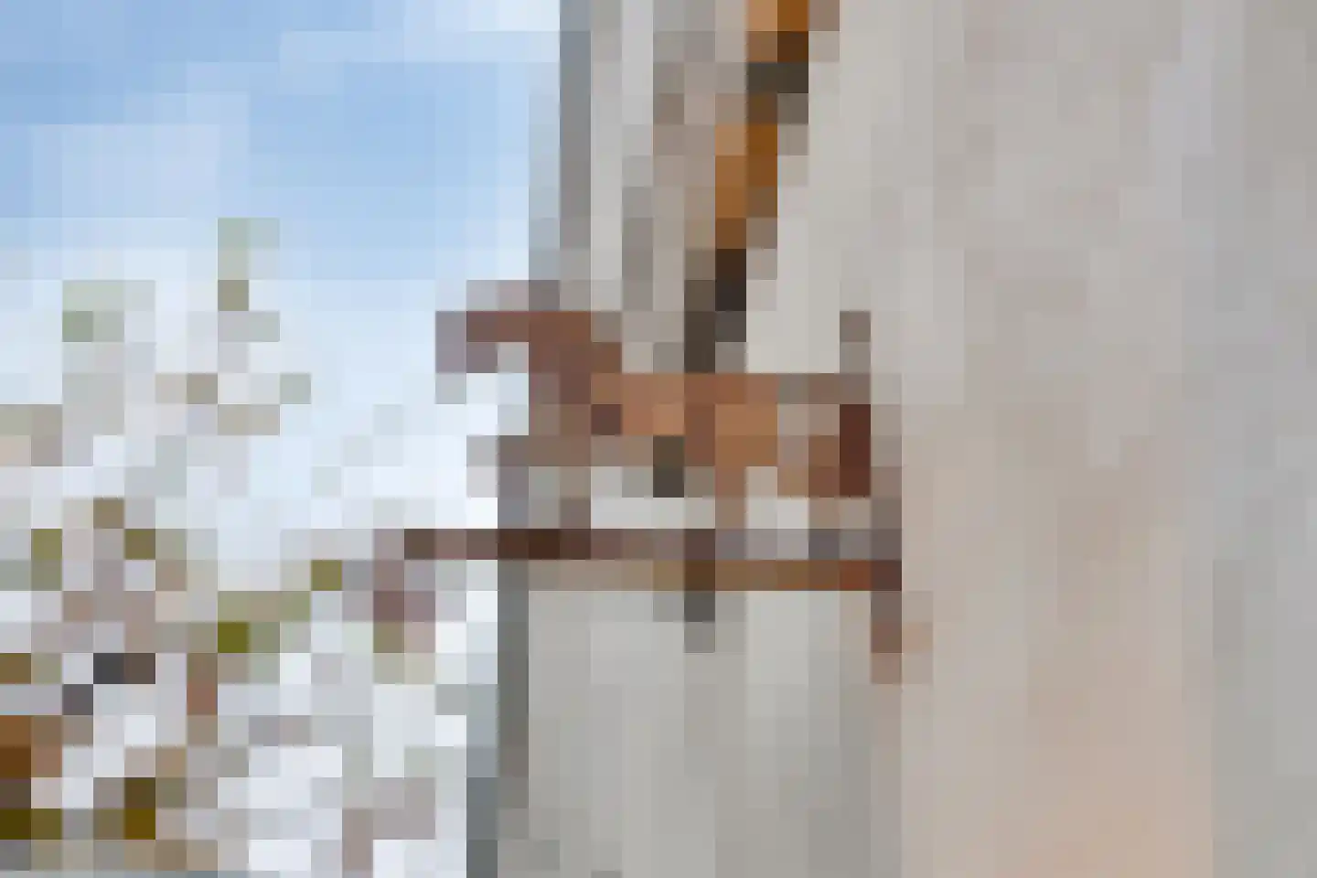 Van Slichtenhorststraat 37 Arnhem thumbnail 71