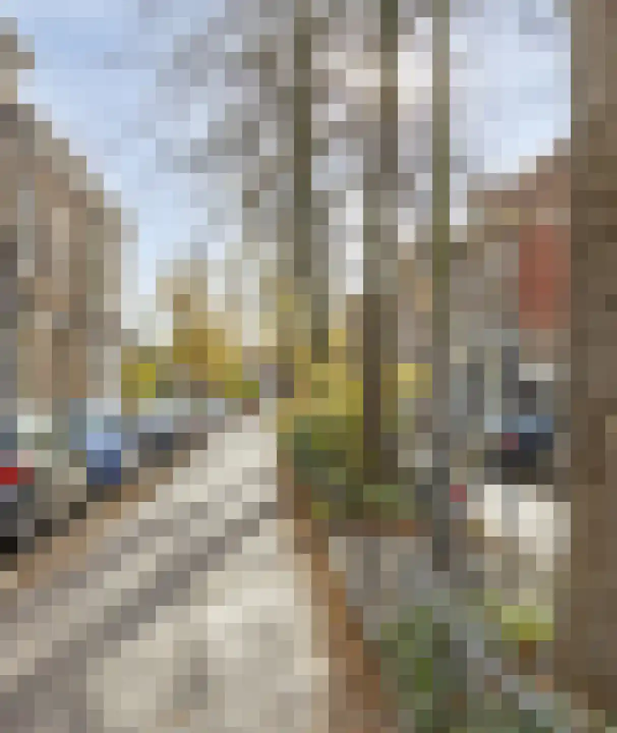 Van Slichtenhorststraat 37 Arnhem thumbnail 78