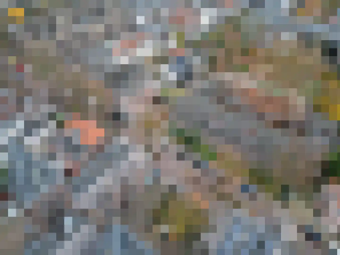 Van Slichtenhorststraat 37 Arnhem thumbnail 83