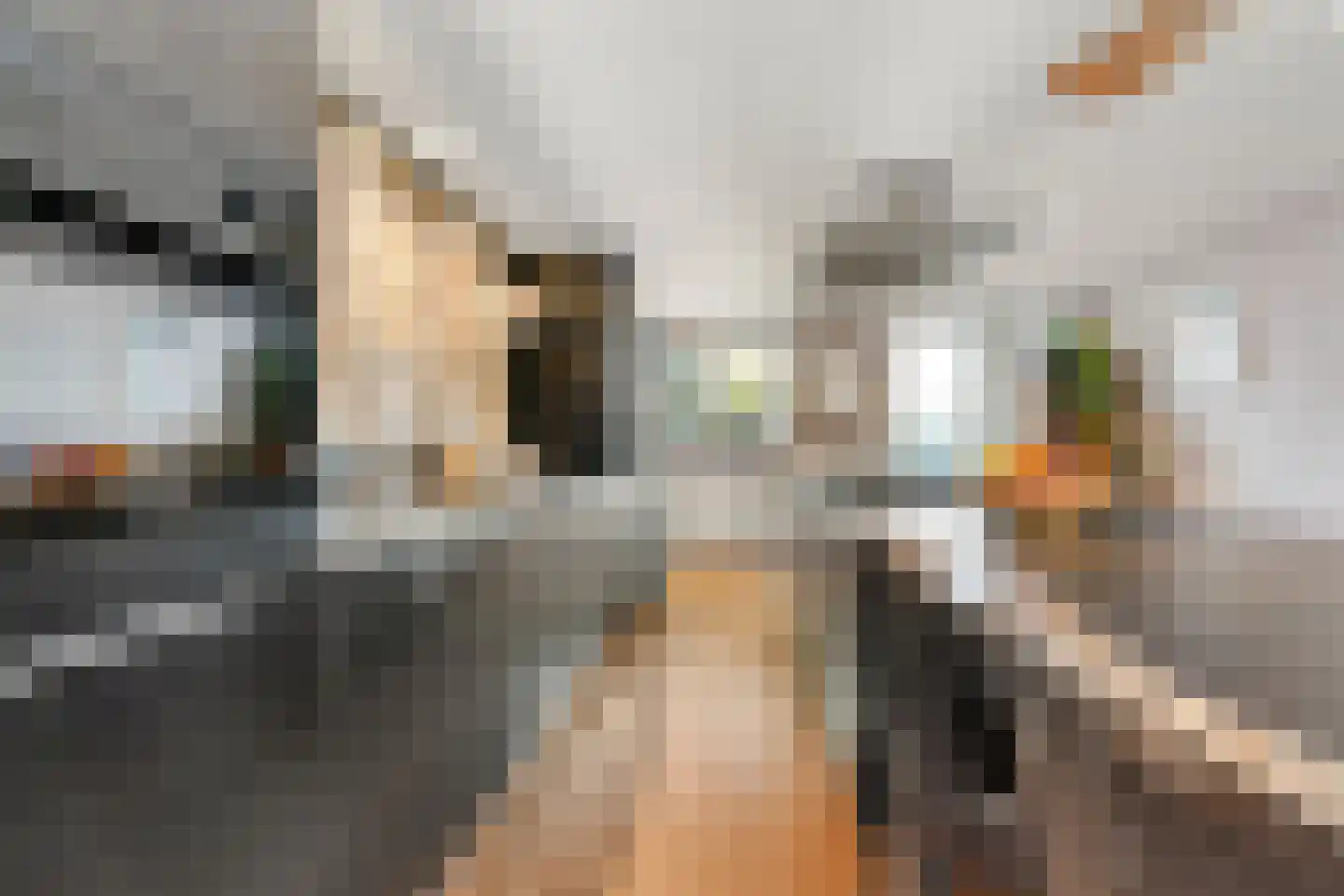 van Slichtenhorststraat 38 A Nijmegen thumbnail 15